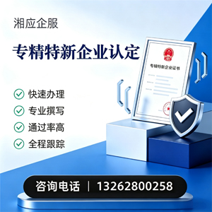 青海专精特新企业申报服务