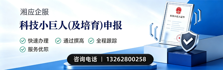 青海科技小巨人及培育企业申报服务