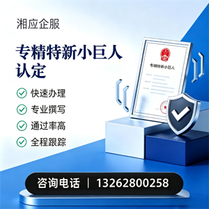 青海专精特新小巨人申报服务