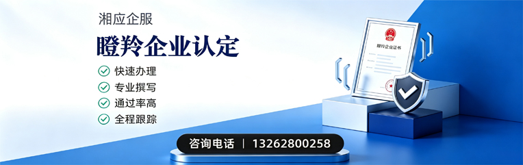 青海瞪羚企业认定申报服务