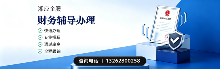青海财务辅导申请服务
