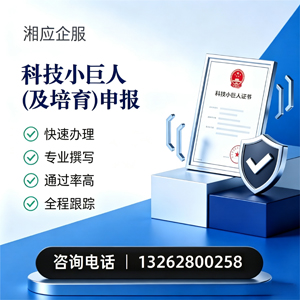 青海科技小巨人及培育企业申报服务