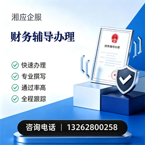 青海财务辅导申请服务