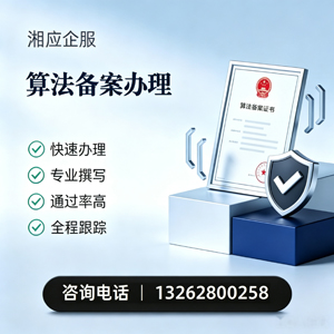青海算法备案申报服务