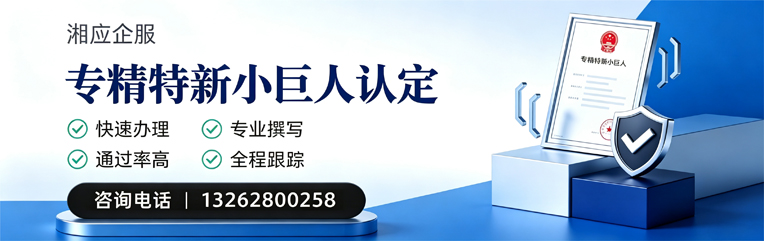 青海专精特新小巨人申报服务